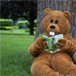Chauncey the Beaver mascot reading a book called Trees under a tree